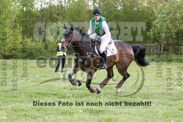 Sterne über Münster 2019 - CCI***S