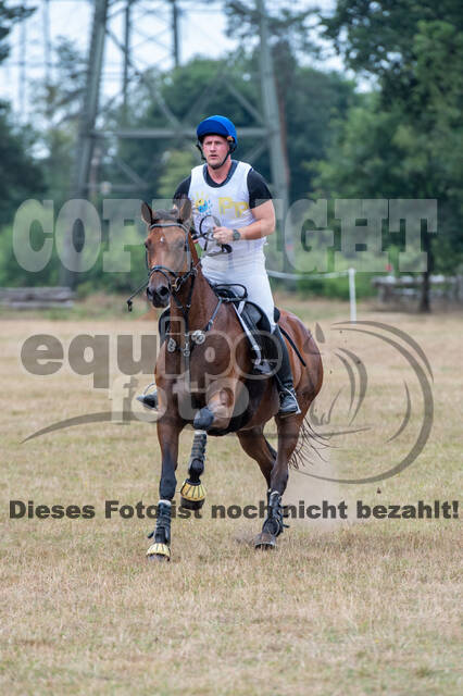 Late-Entry Vielseitigkeit Hamminkeln/Wesel (01.+02.08.2020)