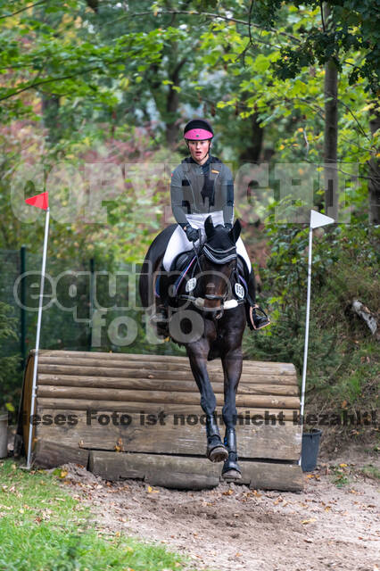 Goldene Schärpe 2020 - Pferde