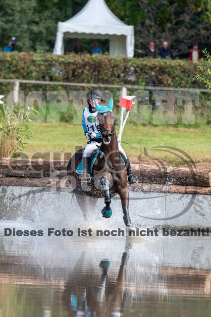 Deutsche Meisterschaft Vielseitigkeit (Luhmühlen)