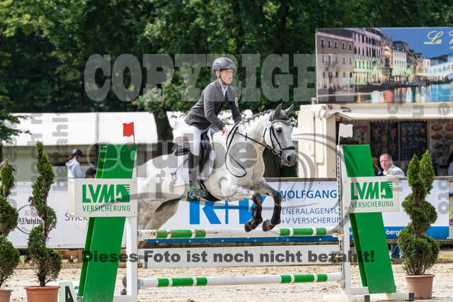 Goldene Schärpe 2021 - Ponys