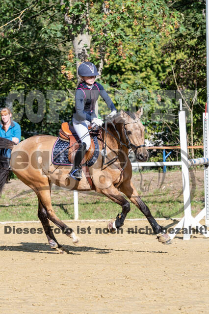RFV Dinslaken-Hiesfeld (Herbstturnier)