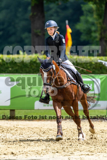 Goldene Schärpe 2021 - Ponys
