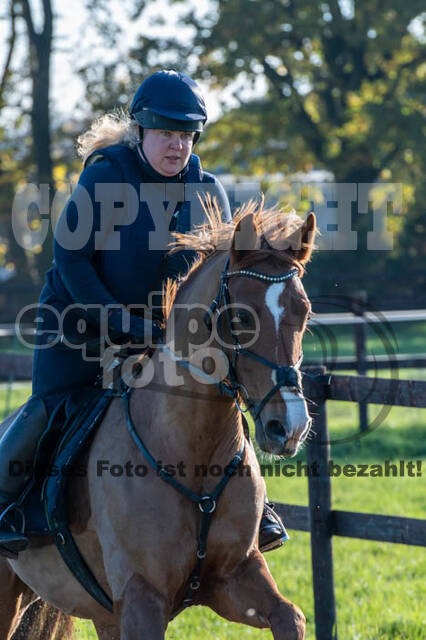 Vielseitigkeitslehrgang mit Jürg Kurbel (9.+10.11.2019)