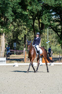 Kronenberg - De Peelbergen (August 2020)