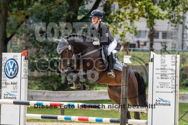 Vielseitigkeit RSV Wesel Obrighoven (26.+27.09.2020)