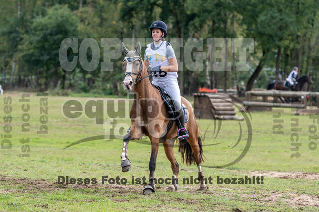 Vielseitigkeit RSV Wesel Obrighoven (26.+27.09.2020)