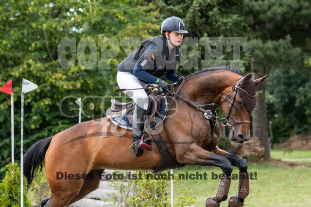 Late-Entry-Vielseitigkeit Langenfeld (11.+13./14.06.2020)