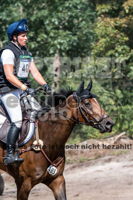 De Peelbergen (August 2020)