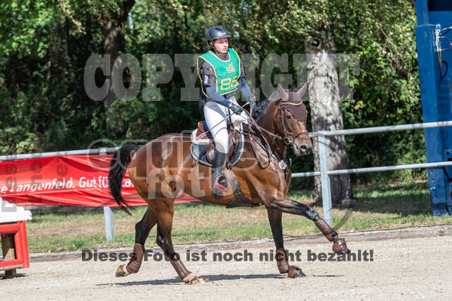 Landesturnier Rheinland, Vielseitigkeit, 22.+23.08.2020