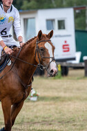 Late-Entry Vielseitigkeit Hamminkeln/Wesel (01.+02.08.2020)