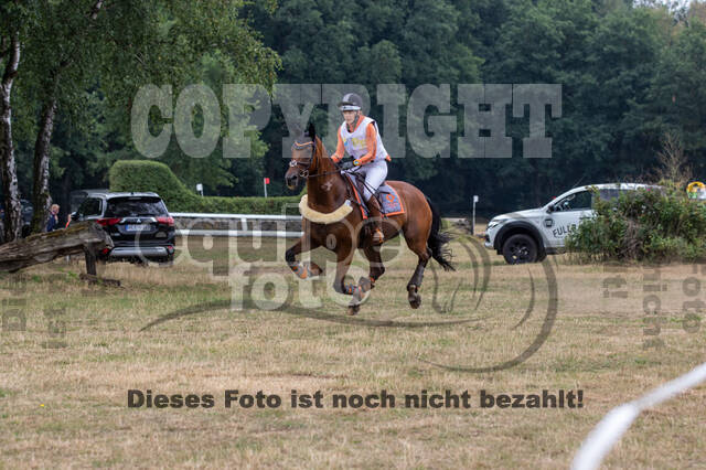 Late-Entry Vielseitigkeit Hamminkeln/Wesel (01.+02.08.2020)