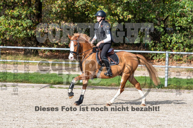 IGV Lehrgang der Sieger der Cups mit Frank Ostholt