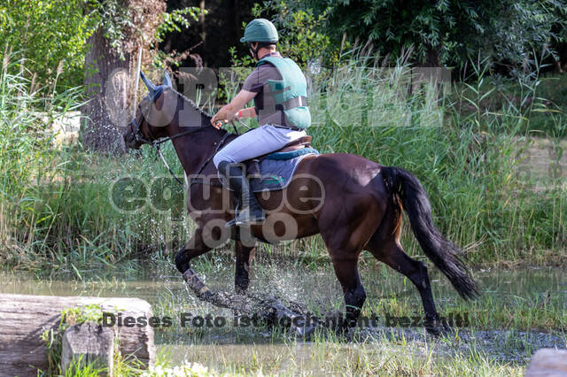 Late-Entry Vielseitigkeit Hamminkeln/Wesel (01.+02.08.2020)