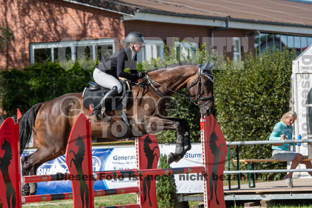 Landesturnier Rheinland, Vielseitigkeit, 22.+23.08.2020