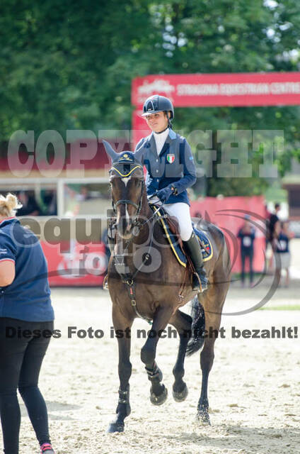 FEI European Championship