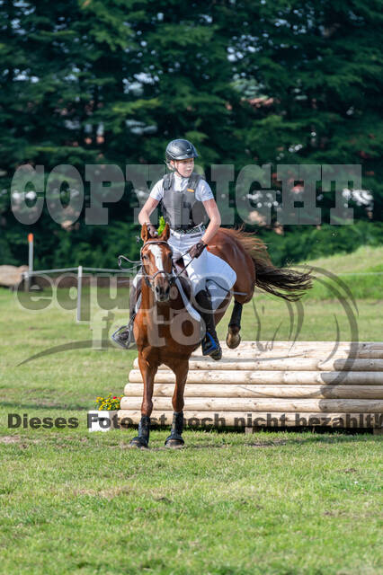 Goldene Schärpe 2021 - Ponys