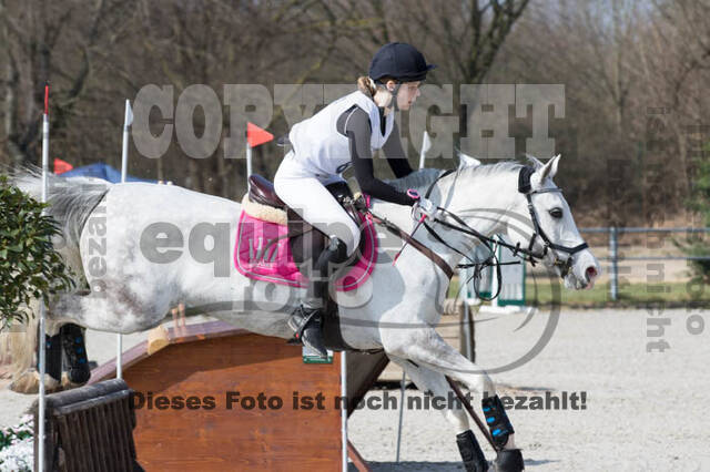 Eventing Langenfeld 2018