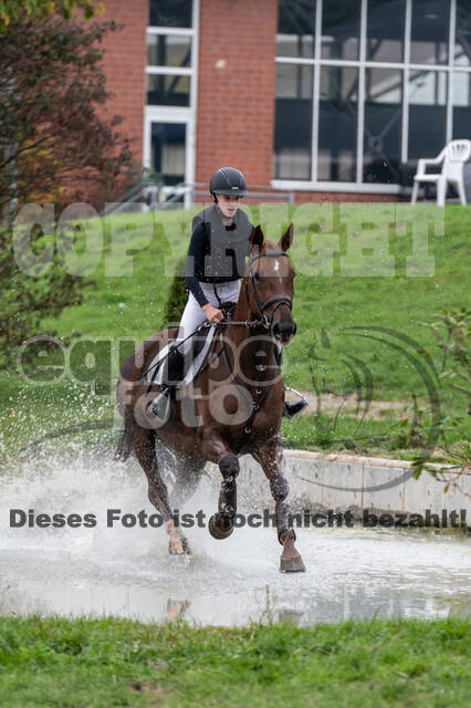 Goldene Schärpe 2020 - Pferde