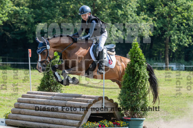 Goldene Schärpe 2021 - Ponys