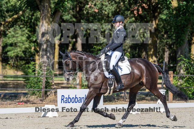 Kronenberg - De Peelbergen (August 2020)