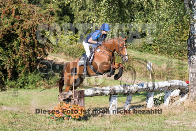 Vielseitigkeitsturnier RSV St. Hubertus Wesel Obrighoven