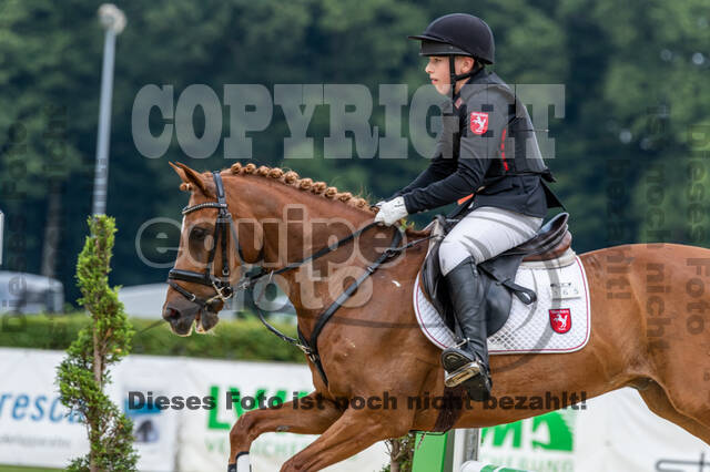 Goldene Schärpe 2021 - Ponys