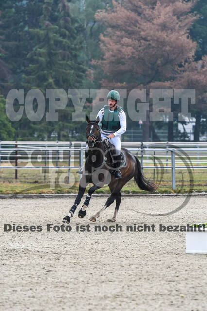 Late-Entry-Vielseitigkeit Langenfeld (11.+13./14.06.2020)