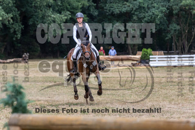 Late-Entry Vielseitigkeit Hamminkeln/Wesel (01.+02.08.2020)