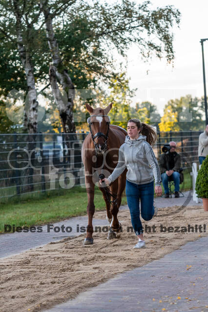 Deutsche Meisterschaft Vielseitigkeit (Luhmühlen)