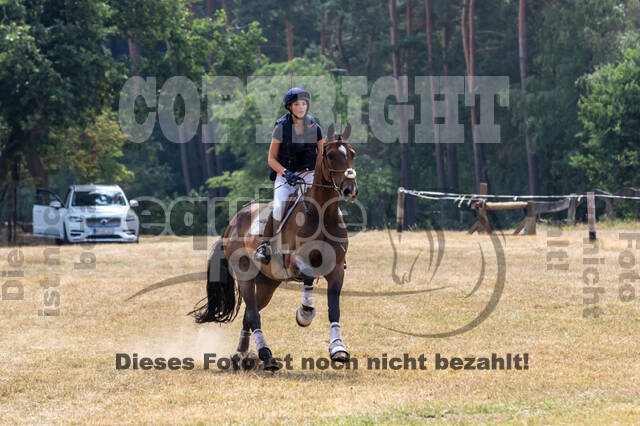Late-Entry Vielseitigkeit Hamminkeln/Wesel (01.+02.08.2020)