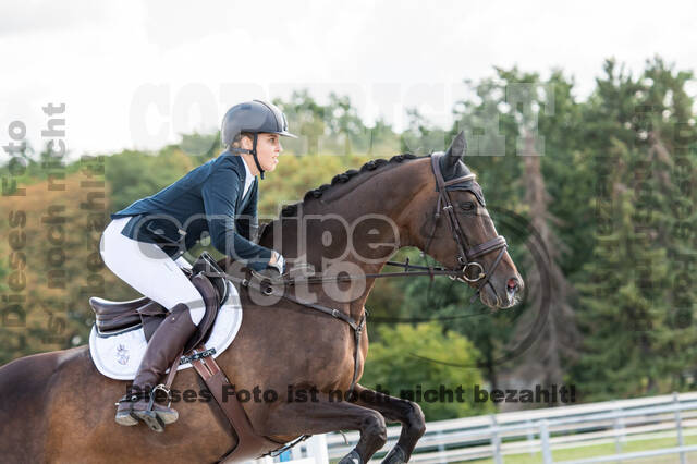 Landesturnier Rheinland, Vielseitigkeit, 22.+23.08.2020