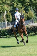 Kronenberg - De Peelbergen (August 2020)