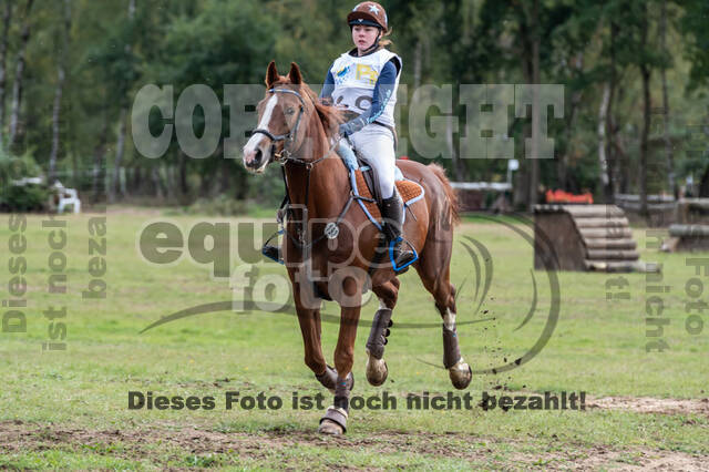 Vielseitigkeit RSV Wesel Obrighoven (26.+27.09.2020)