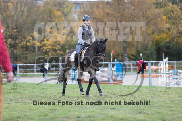 IGV Lehrgang der Sieger der Cups mit Frank Ostholt