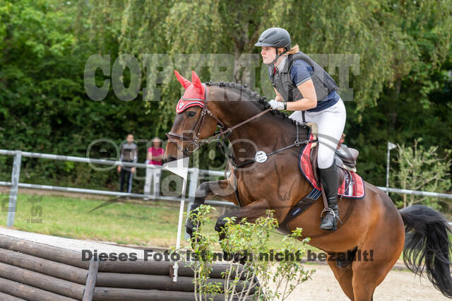Late-Entry-Vielseitigkeit Langenfeld (11.+13./14.06.2020)