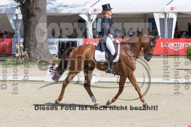 FEI European Championship Eventing 2017