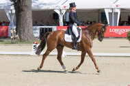 FEI European Championship Eventing 2017