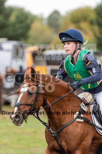 Vielseitigkeit RSV Wesel Obrighoven (26.+27.09.2020)