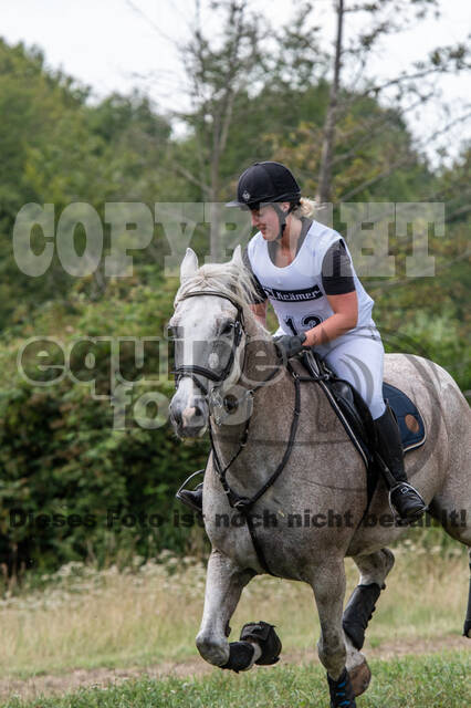 Late-Entry-Vielseitigkeit Gahlen (18.07.2020)