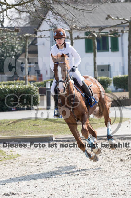 Eventing Langenfeld 2018