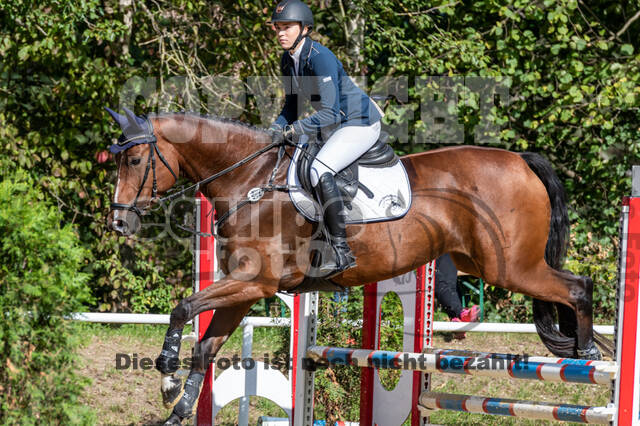RFV Dinslaken-Hiesfeld (Herbstturnier)