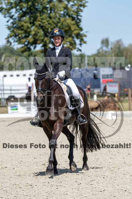 Kronenberg - De Peelbergen (August 2020)