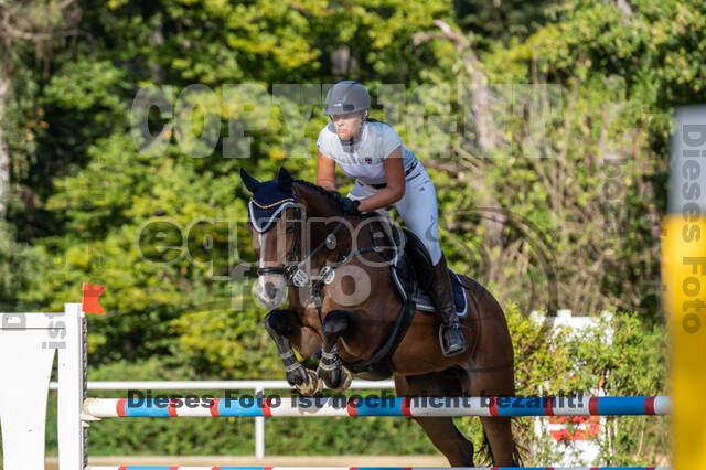 RFV Dinslaken-Hiesfeld (Herbstturnier)