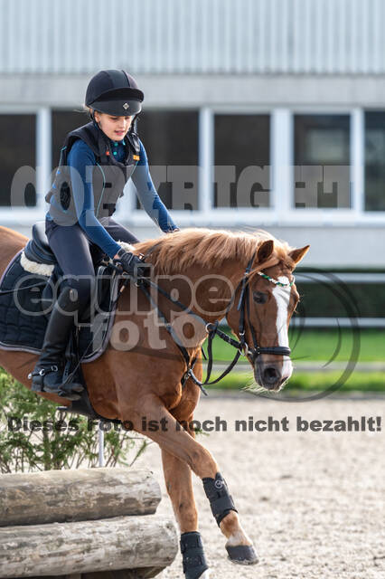 IGV Lehrgang der Sieger der Cups mit Frank Ostholt