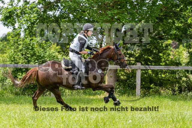 Westerstede Horse Trials 2021