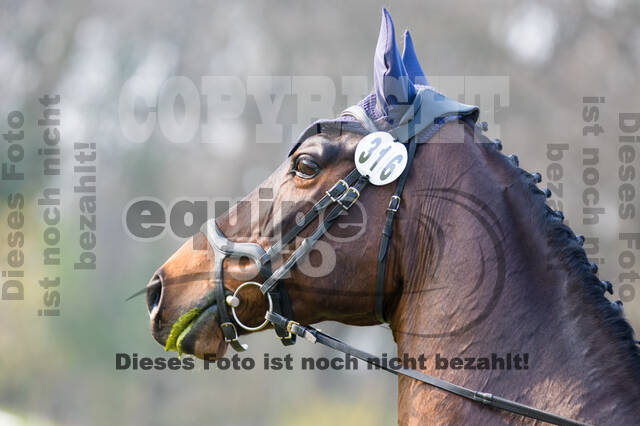 RV Seydlitz Kamp (06.+07.04.2019)