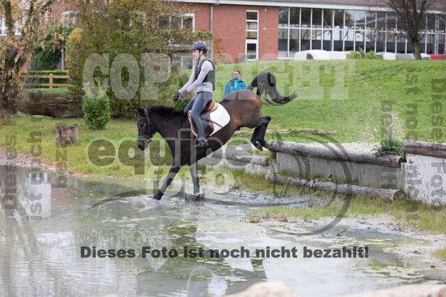 IGV Lehrgang der Sieger der Cups mit Frank Ostholt