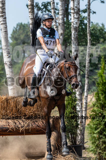 De Peelbergen (August 2020)