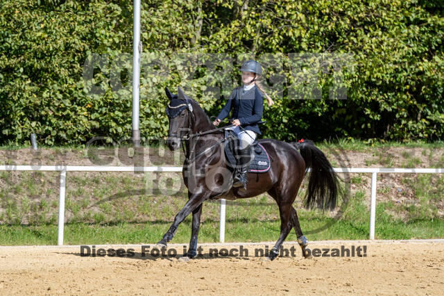 RFV Dinslaken-Hiesfeld (Herbstturnier)